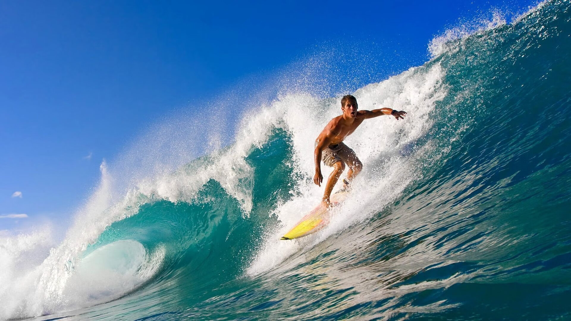 激情四射！全国大学生田径锦标赛接力赛圆满落幕，青春与速度点燃赛场